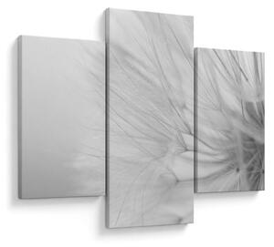 Tablou - Dandelion (90x60 cm)