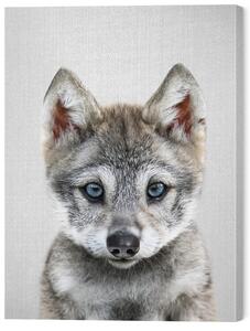 Tablou pe pânză Baby Wolf, 45 × 60 cm