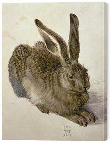 Tablou pe pânză Hare (1502), Albrecht Dürer, 45 × 60 cm