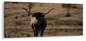 Tablou - Vacă din Texas (120x50 cm)