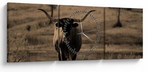 Tablou - Vacă din Texas (cu ceas) (90x30 cm)