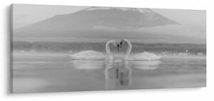 Tablou - Lebede îndrăgostite (120x50 cm)
