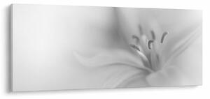 Tablou - Crin delicat (120x50 cm)