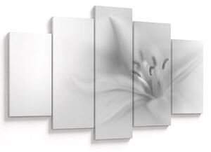 Tablou - Crin delicat (150x105 cm)
