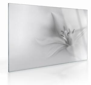 Tablou pe sticlă - Crin delicat (70x50 cm)