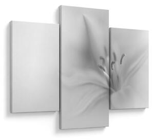 Tablou - Crin delicat (90x60 cm)