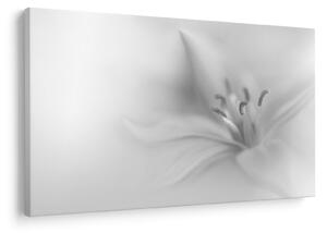 Tablou - Crin delicat (90x60 cm)