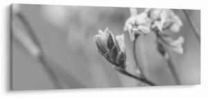 Tablou - Floare înflorită (120x50 cm)