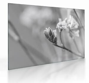 Tablou pe sticlă - Floare înflorită (70x50 cm)