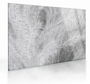 Tablou pe sticlă - Iarbă de pampas N⁰1 (70x50 cm)