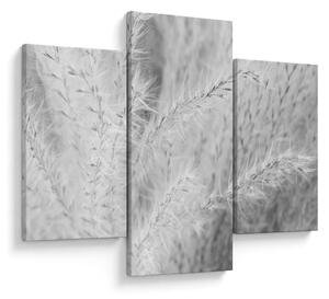 Tablou - Iarbă de pampas N⁰1 (90x60 cm)