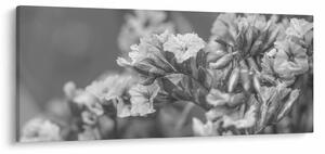 Tablou - Flori uscate (120x50 cm)