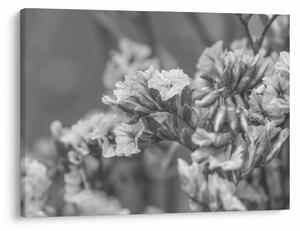 Tablou - Flori uscate (70x50 cm)