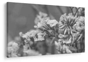 Tablou - Flori uscate (90x60 cm)