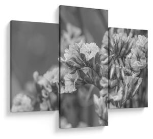 Tablou - Flori uscate (90x60 cm)