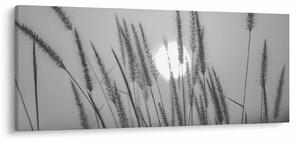 Tablou - Pajiște la apus (120x50 cm)