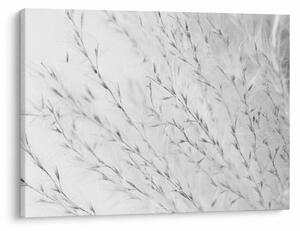 Tablou - Iarbă de pampas N⁰2 (70x50 cm)