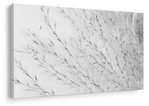 Tablou - Iarbă de pampas N⁰2 (90x60 cm)