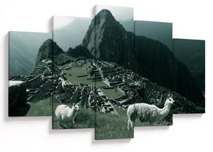 Tablou - Lamas la Machu Picchu în Peru (150x105 cm)