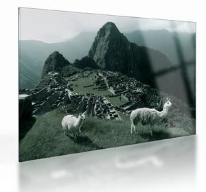 Tablou pe sticlă - Lamas la Machu Picchu în Peru (70x50 cm)