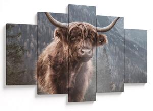 Tablou - Vaca Highlander (150x105 cm)