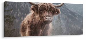 Tablou - Vaca Highlander (120x50 cm)