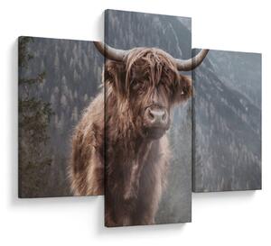 Tablou - Vaca Highlander (90x60 cm)