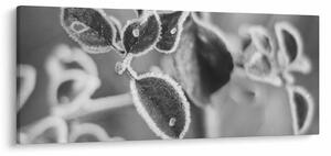 Tablou - Natura în toamnă (120x50 cm)