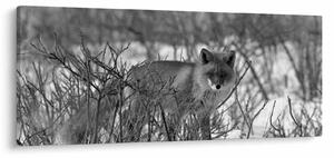 Tablou - Vulpe în timpul iernii (120x50 cm)
