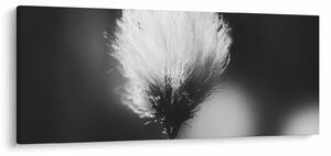 Tablou - Coțofană neagră și albă (120x50 cm)