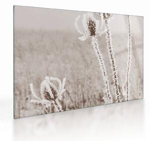 Tablou pe sticlă - Ciulinul în timpul iernii (70x50 cm)