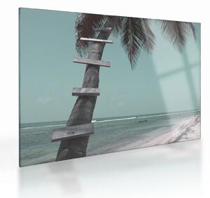 Tablou pe sticlă - Palma în Caraibe (70x50 cm)