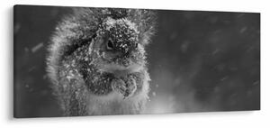 Tablou - Veveriță în timpul iernii (120x50 cm)