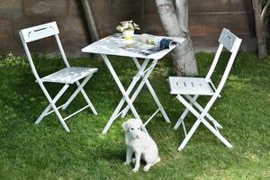 Set Gradina - Masa si Scaune (3 Bucati), Ridge leaf, UnicUtil, Culoarea Alb
