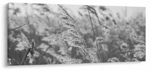 Tablou - Iarba în vânt (120x50 cm)