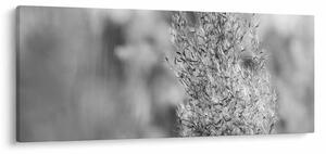 Tablou - Iarbă de pampas Boho (120x50 cm)