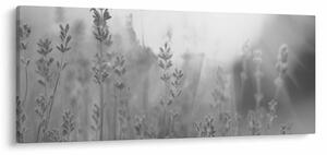 Tablou - Lavanda (120x50 cm)