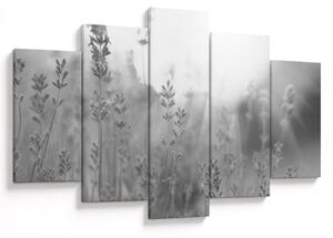 Tablou - Lavanda (150x105 cm)