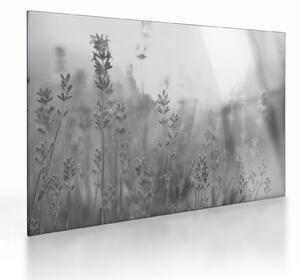 Tablou pe sticlă - Lavanda (70x50 cm)