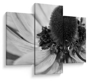 Tablou - Floare în alb-negru (90x60 cm)