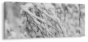 Tablou - Ramuri înzăpezite (120x50 cm)