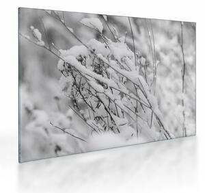 Tablou pe sticlă - Ramuri înzăpezite (70x50 cm)