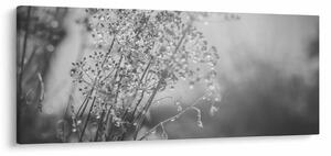Tablou - Pajiște după ploaie (120x50 cm)
