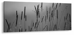 Tablou - Lamele de iarbă (120x50 cm)
