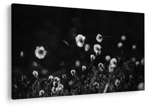 Tablou - Pajiște cu iarbă de cozonac N⁰1 (90x60 cm)
