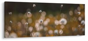 Tablou - Pajiște cu iarbă de cozonac N⁰2 (120x50 cm)