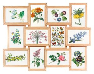 Multicadru pentru 12 fotografii FINES, 45 x 59 cm