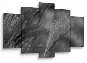 Tablou - Iarbă de pampas uscată (150x105 cm)