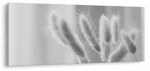 Tablou - Iarbă de coadă de iepure (120x50 cm)
