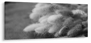 Tablou - iarbă de coadă de iepure pe masă (120x50 cm)